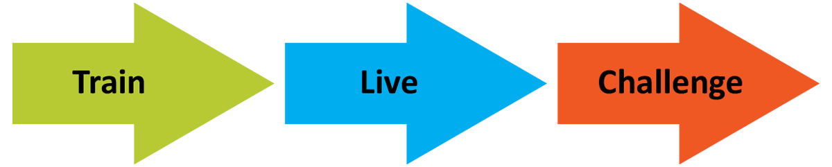 Cyber Unity Process